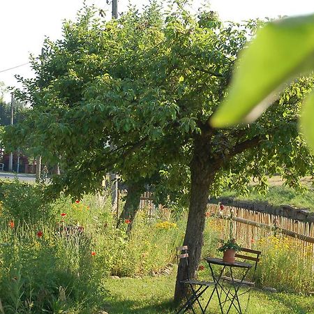 Cunnersdorf Ferienwohnung Katzstein מראה חיצוני תמונה